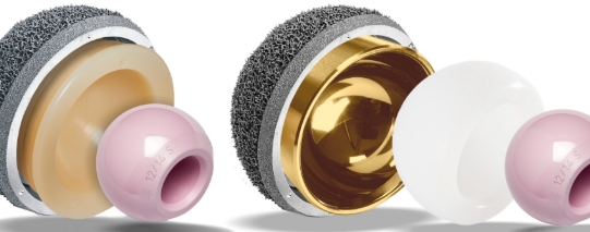 Image of the construct of a standard bearing hip plant next to a dual mobility implant
